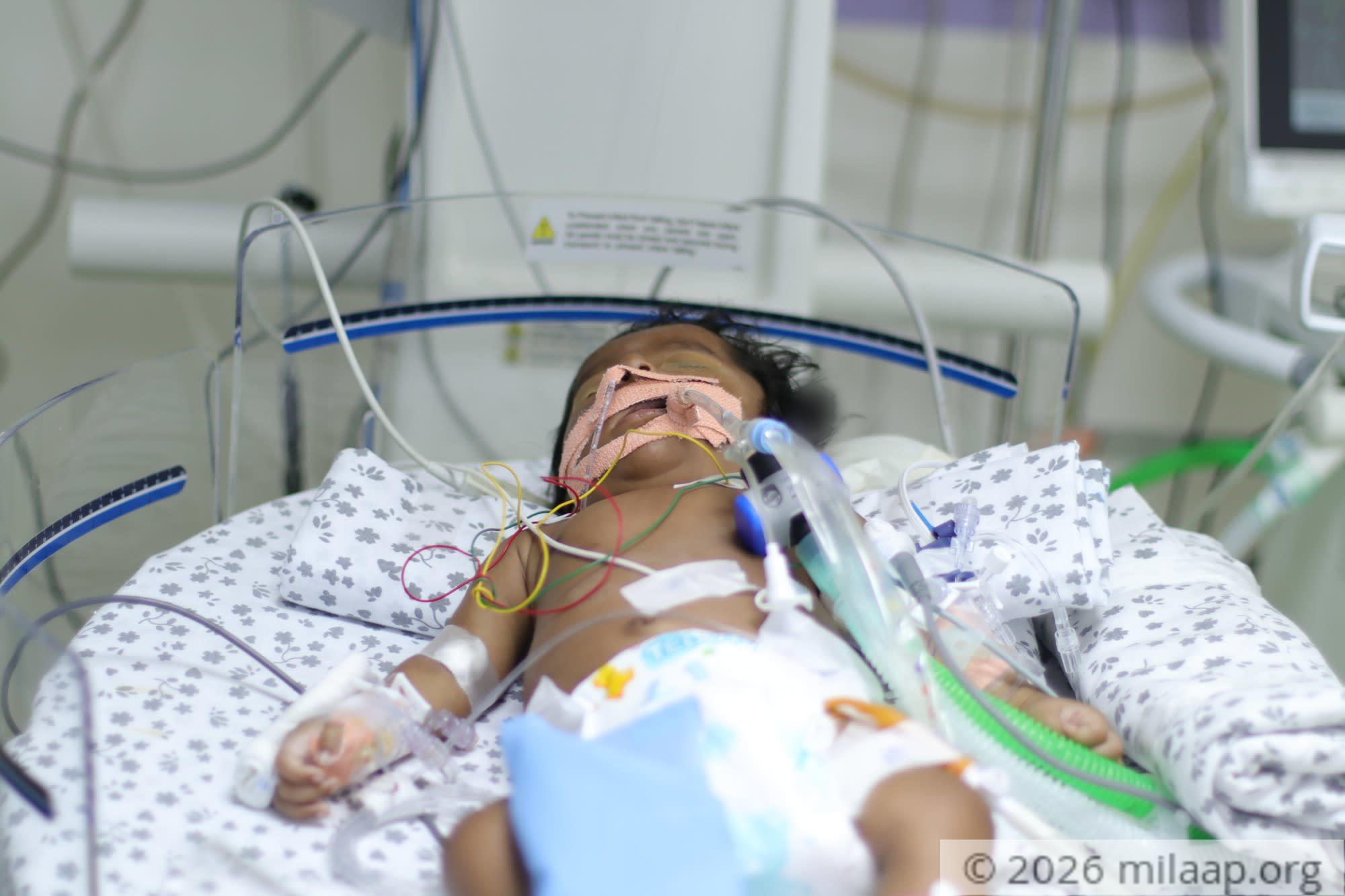 Img 7508 apsnum 1580542843