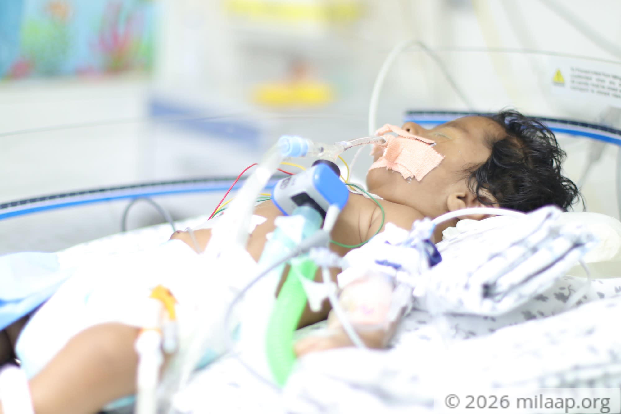 Img 7511 zkus5o 1580542843