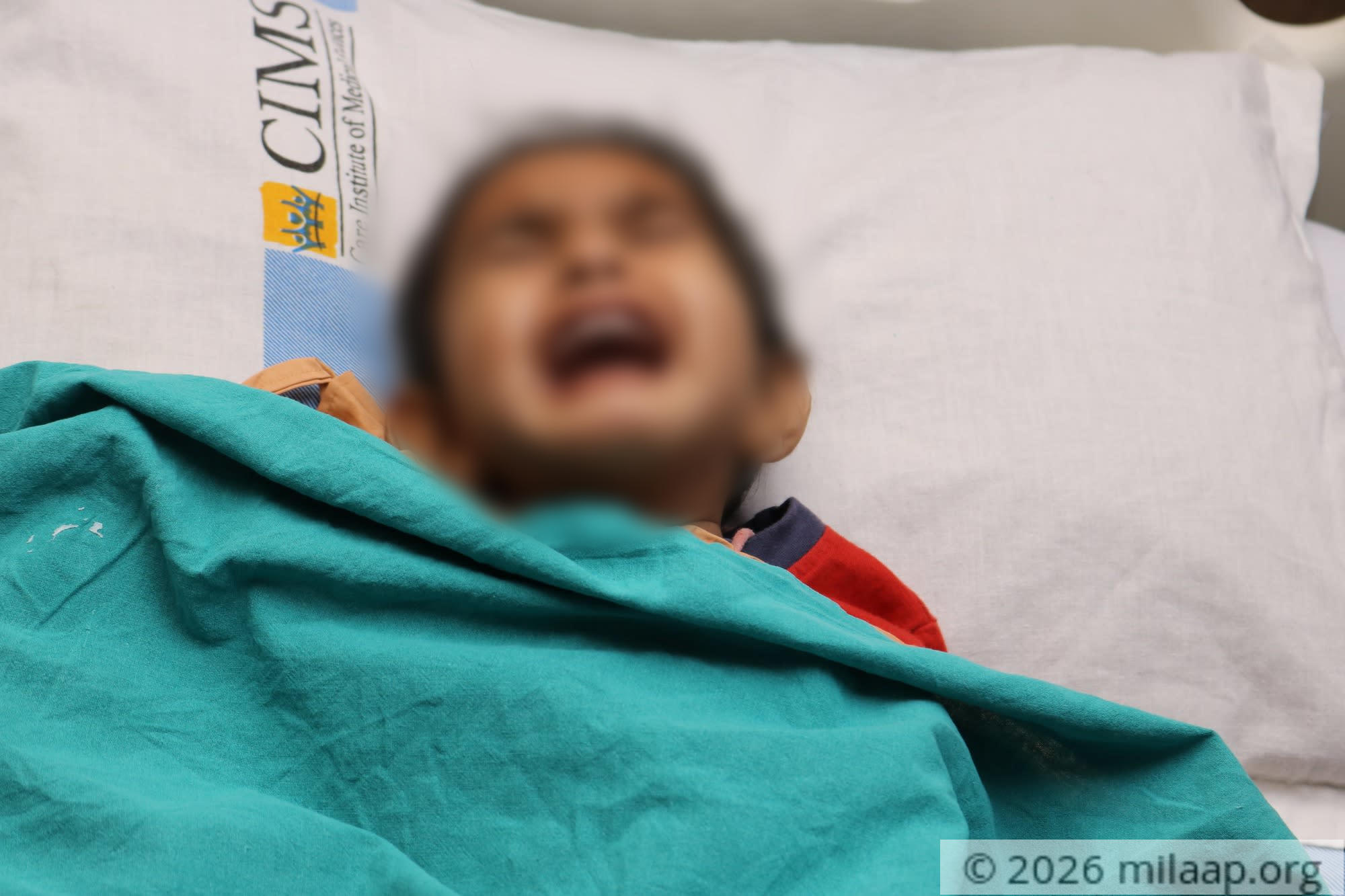 Img 5844 li65hl 1582260190