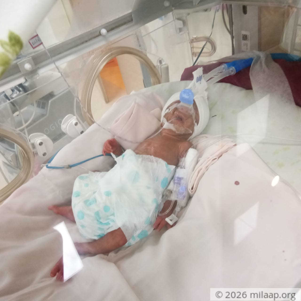 Whatsapp image 2020 05 04 at 14.43.18 1 bisjwl 1588584717