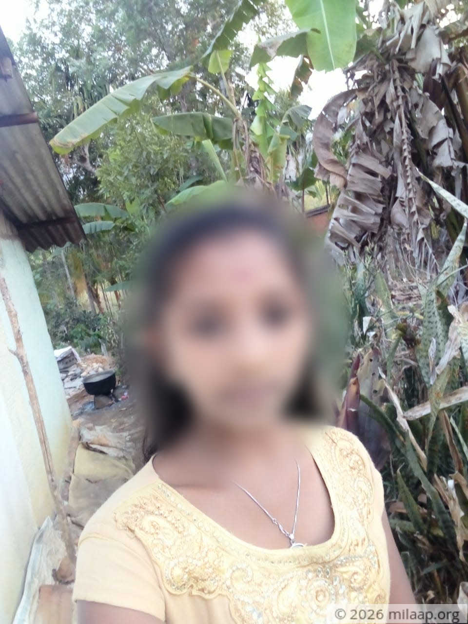 Whatsapp image 2020 06 03 at 12.45.03 ittmpc 1591171598