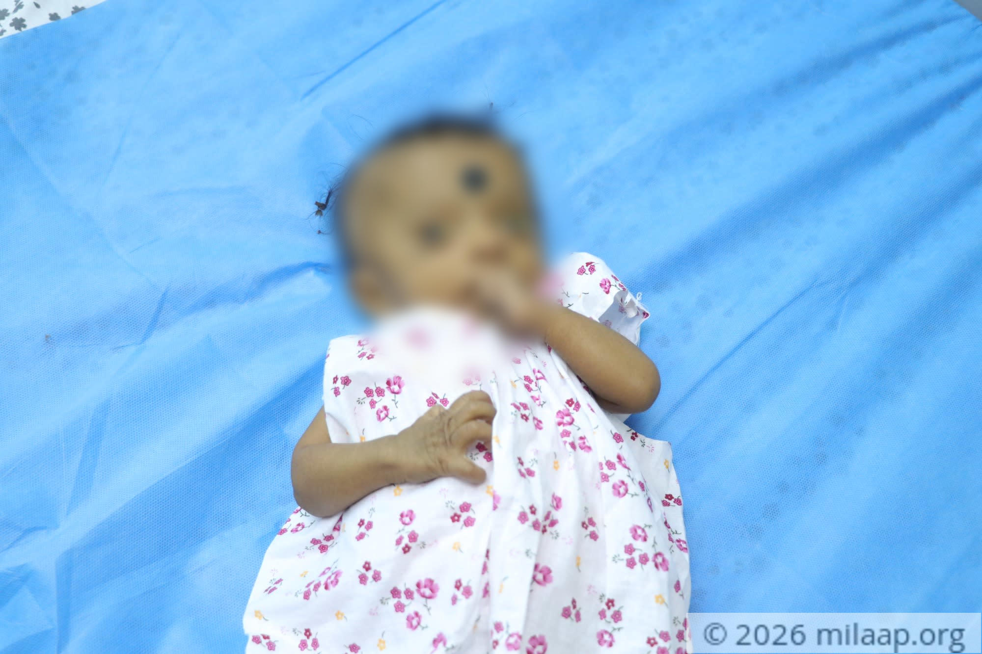 Img 5724 ih2org 1597475639