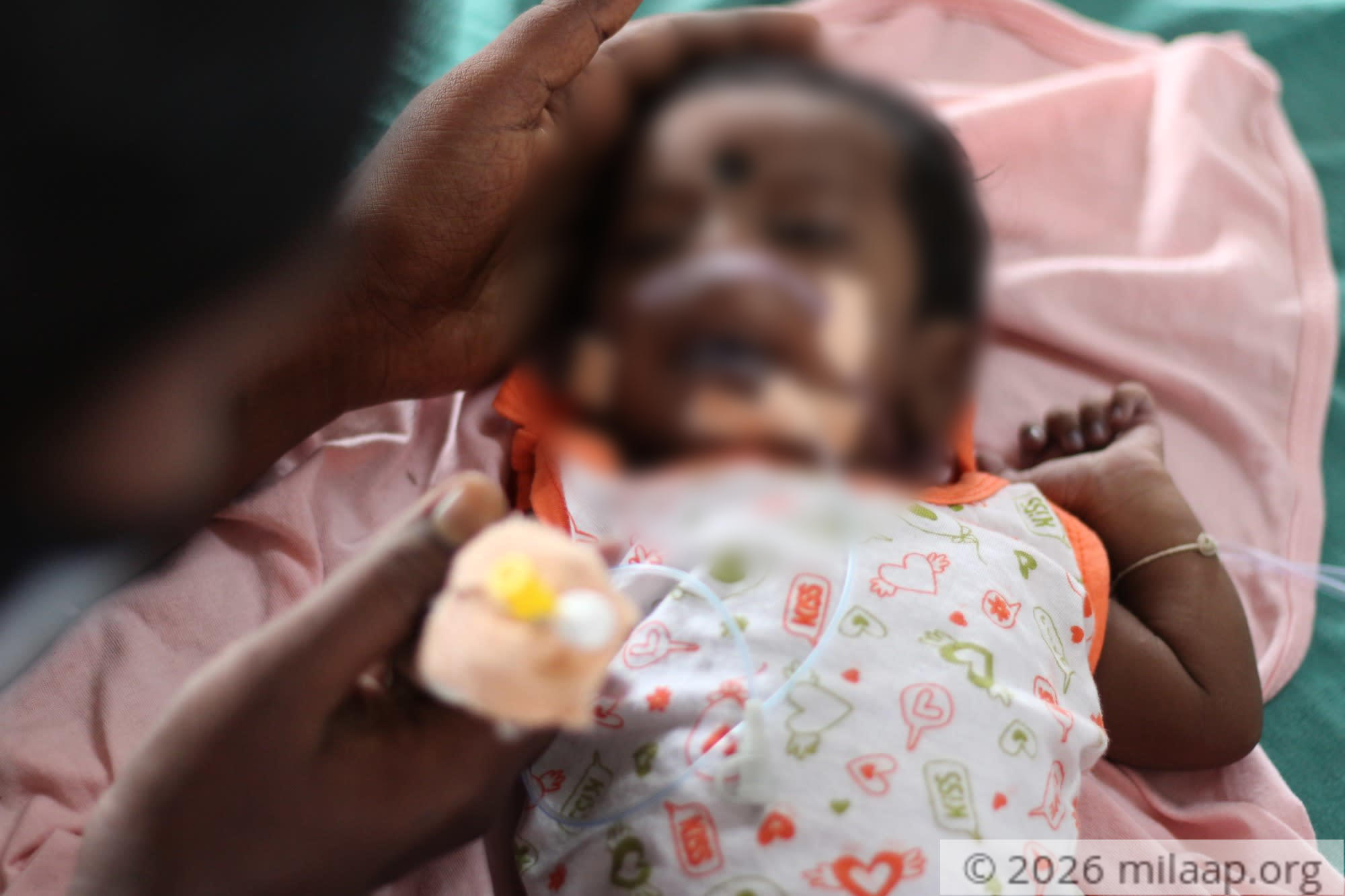 20200816141223 img 4165 czujuv 1597684755