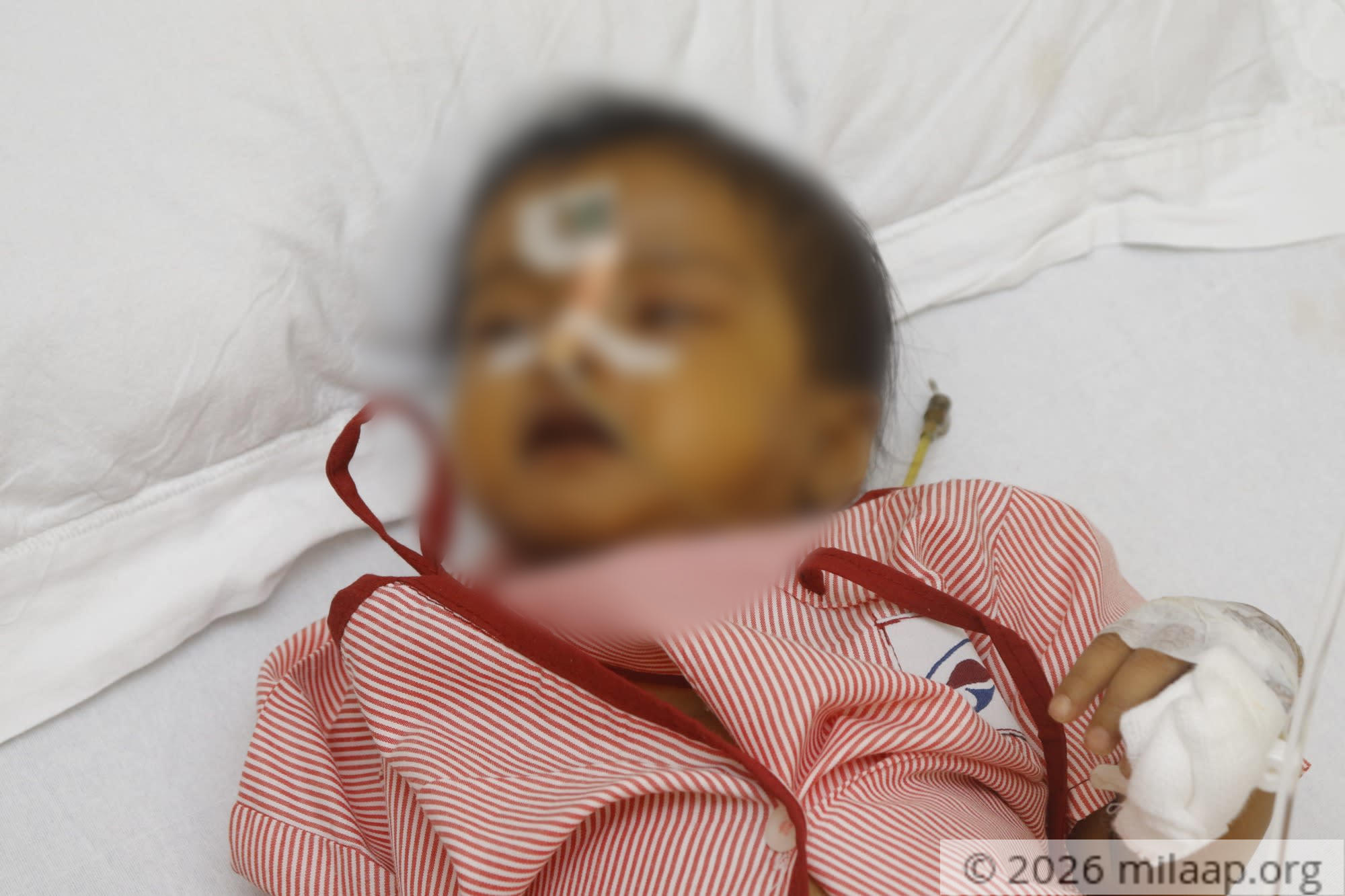  mg 7971 sufruq 1597996895