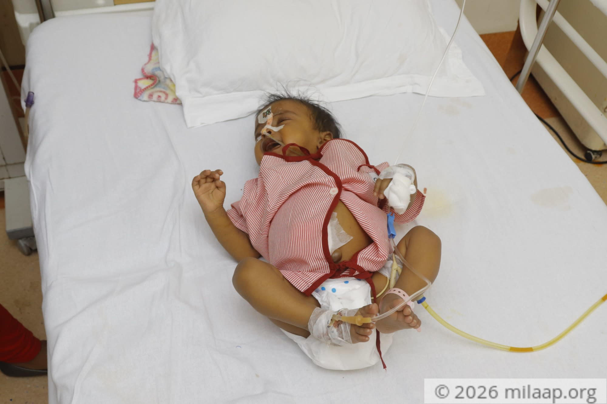  mg 7978 hio826 1597996899