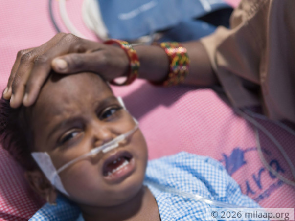 Little Shivu Is In The ICU And Needs Our Help