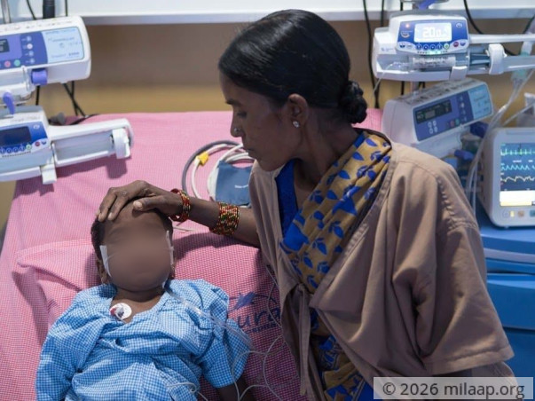 Little Shivu Is In The ICU And Needs Our Help