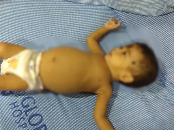 After Losing Two Babies, This Family Is Desperate To Save Their Child