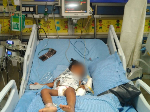 2-year-old Grice urgently needs a liver  transplant to survive