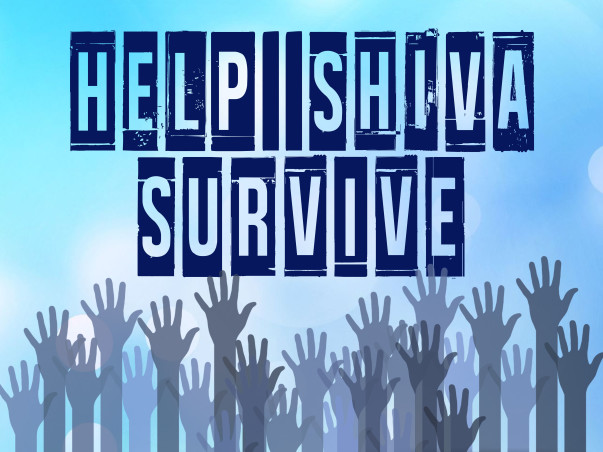 Help 10 year old  Shivakumar fight Meningitis and its complications.