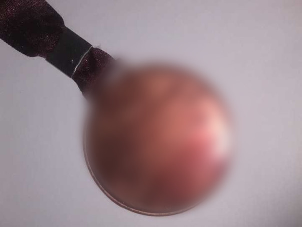 Help Muskan Participate in World Hakuakai Karate Championship in Japan