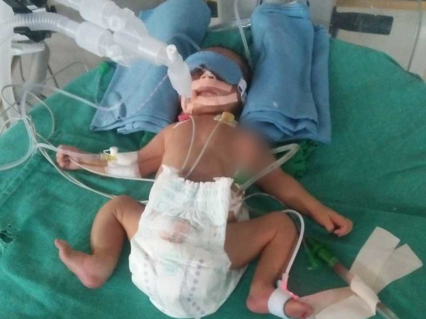 Please help my Baby recover