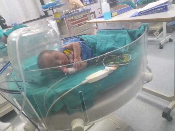 Support Rudra Recover From Ventricular Septal Defect