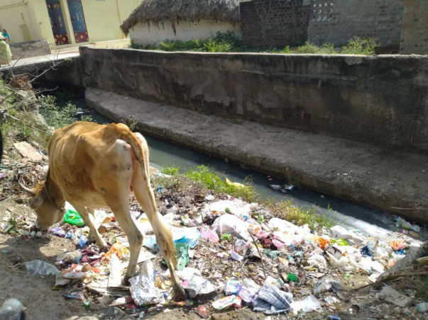 Namma Pasumai Tindivanam Neer Melaanmai Kuzhu