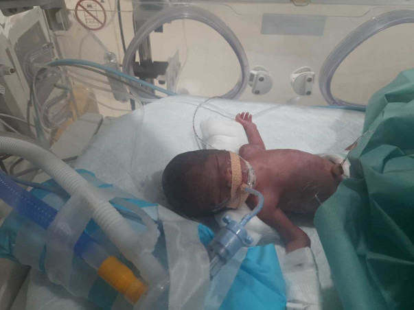 Support Baby Of Sophia Recover From Preterm Birth