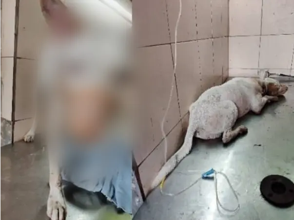 Help me clear Safedi's treatment bills