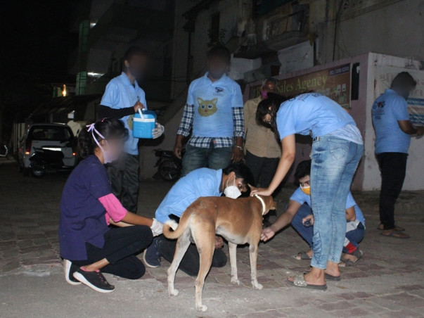 Saving Stray Dogs with Reflective Collar and Anti-Rabies Vaccination