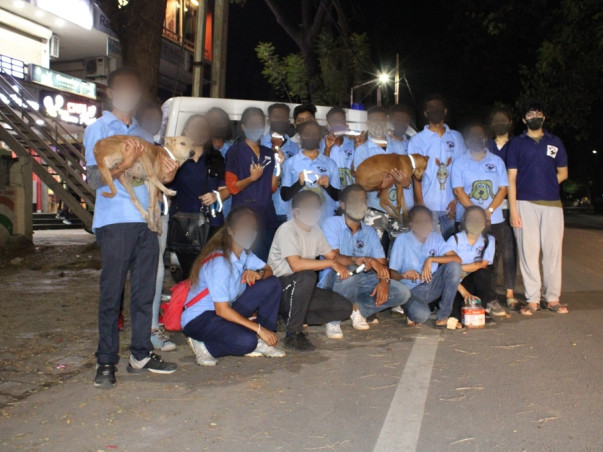 Saving Stray Dogs with Reflective Collar and Anti-Rabies Vaccination