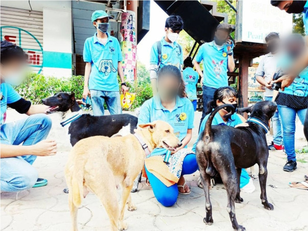 Saving Stray Dogs with Reflective Collar and Anti-Rabies Vaccination