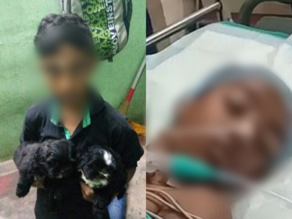 13 Years Old Mithun Needs Your Help Fight Accident And Head Injury