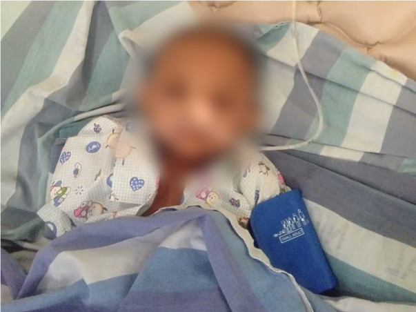 Support Zainab Begam Recover From Blood Cancer