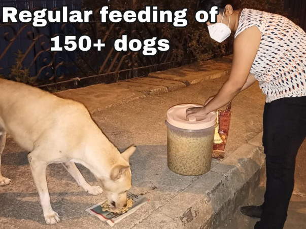 Support Strays_Of_Panvel In Rescuing Injured/Sick Stray Dogs