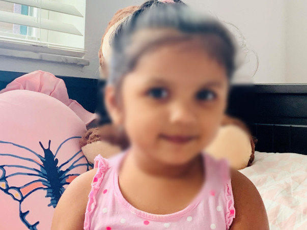 Help Parvi See the World!