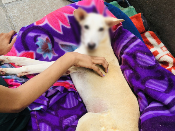 Help Ishaan Walk Again