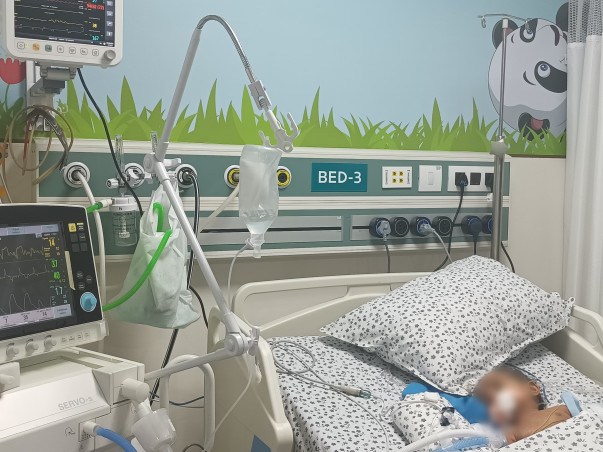 Help My Baby Girl Who Is 5 Months to Recover From Dengue Fever