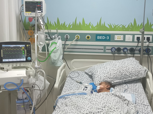 Help My Baby Girl Who Is 5 Months to Recover From Dengue Fever