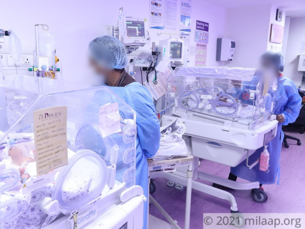 Help Me To Save My Twins