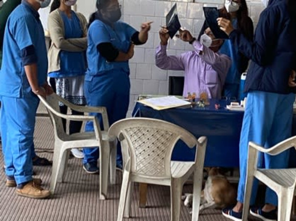 Help Silica live from his multiple bone fractures!