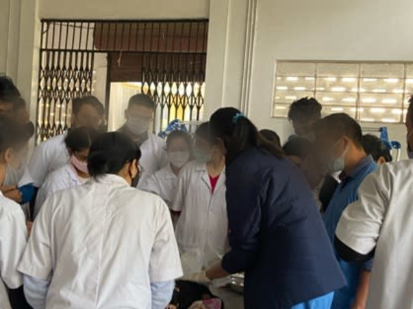 Help Silica live from his multiple bone fractures!