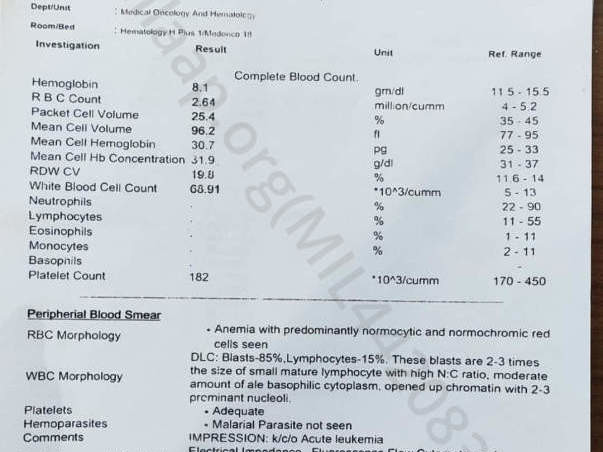 Support Nibedita Badhei To Recover From Blood Cancer