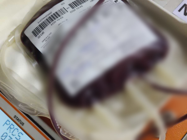 BBCA Charitable Trust: Social Services