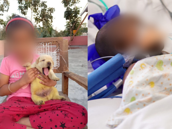 Blood Clot In The Brain Has Left 6-Year-Old Unconscious And Critical