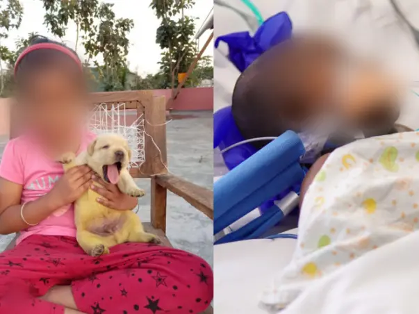 Blood Clot In The Brain Has Left 6-Year-Old Unconscious And Critical