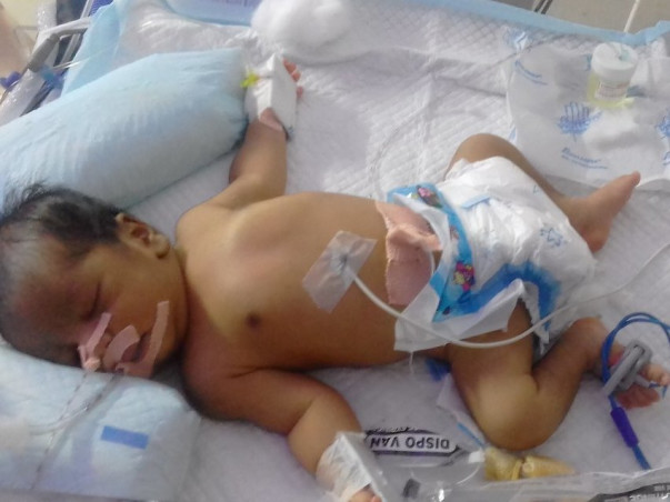 Support Baby Of Suma