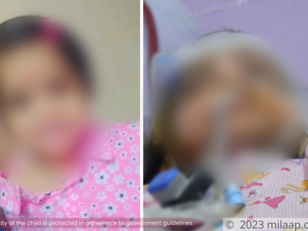 Driver's 3-Year-Old Needs Help To Survive, All Her Organs Are Failing