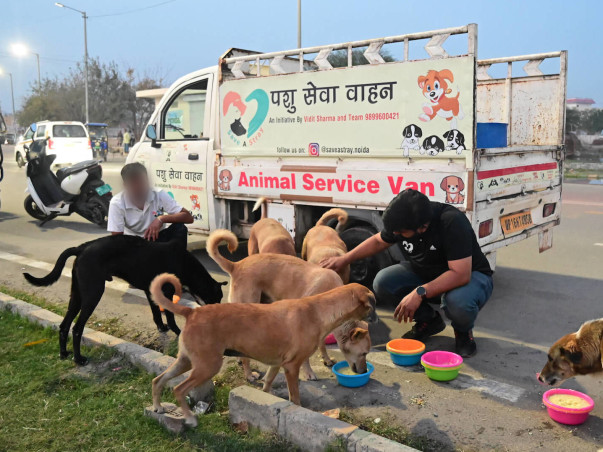 Help Vidit Sharma To Feed Thousands of  Stray Dogs Daily