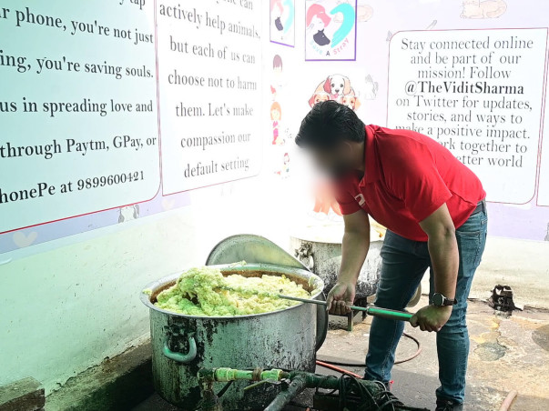 Help Vidit Sharma To Feed Thousands of  Stray Dogs Daily