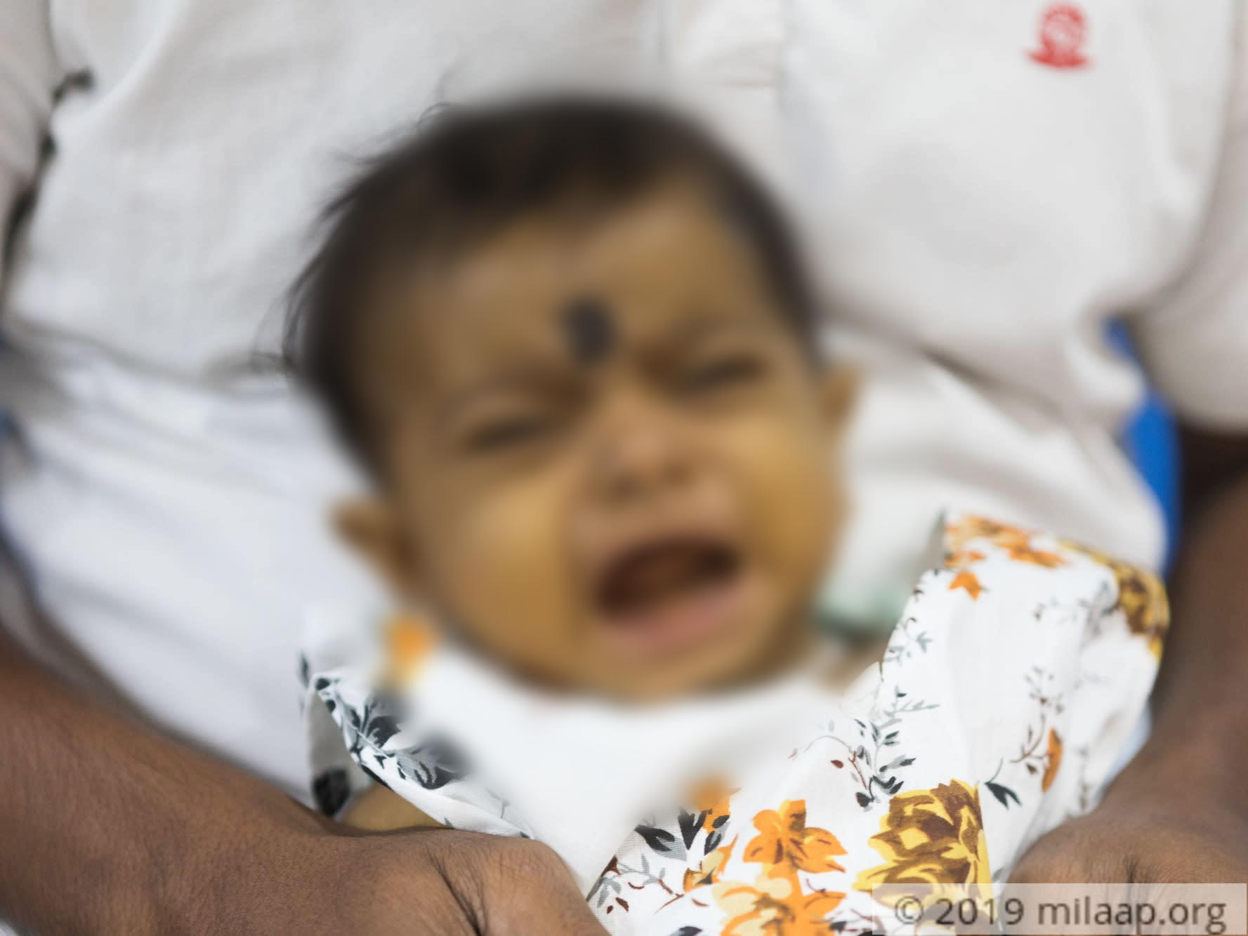 Honey rout 3 oqfwgx 1570076112 ggghal 1570694523