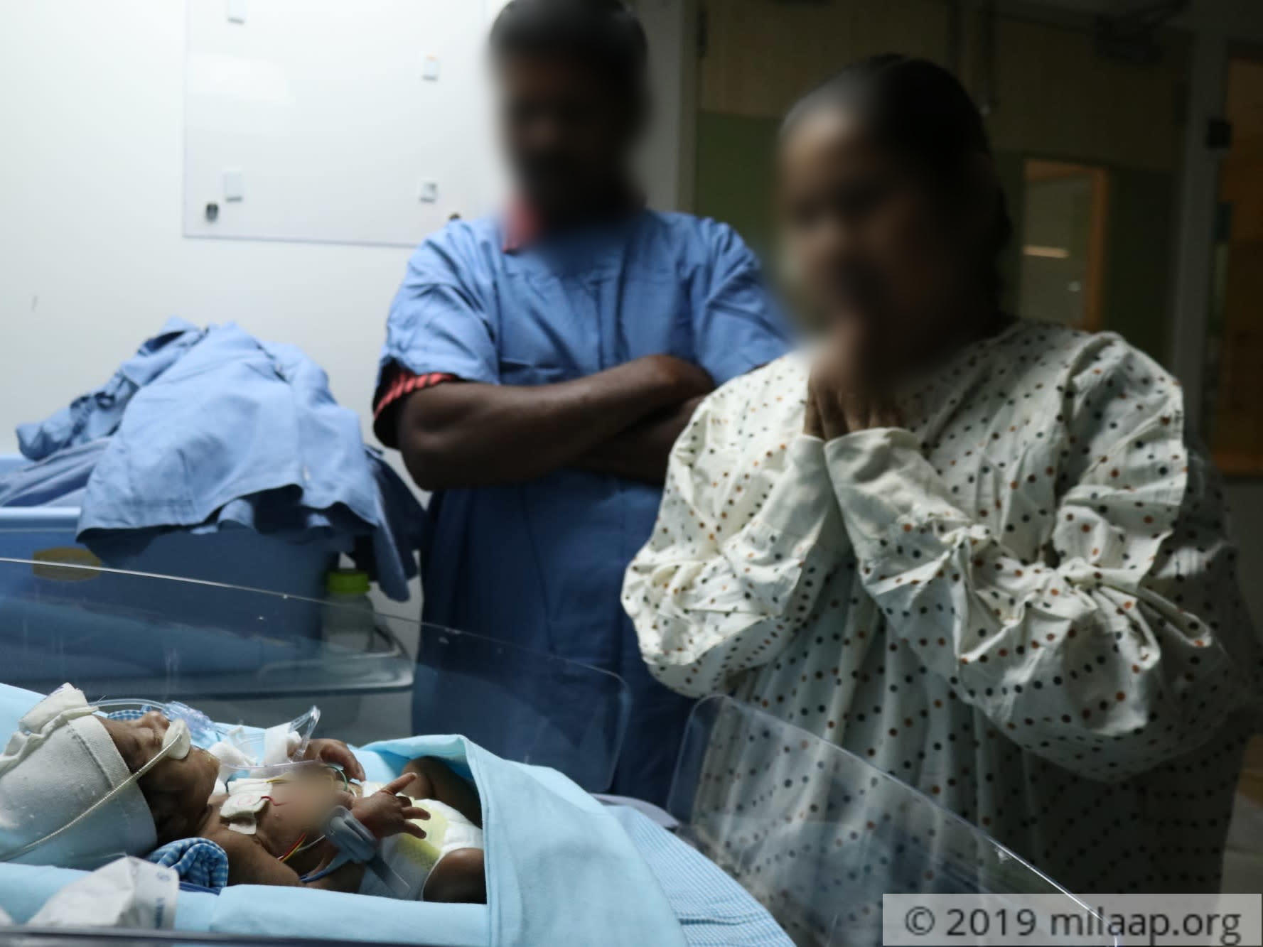 Img 3082 rhbqdo 1574768882 xfbdbu 1575438669