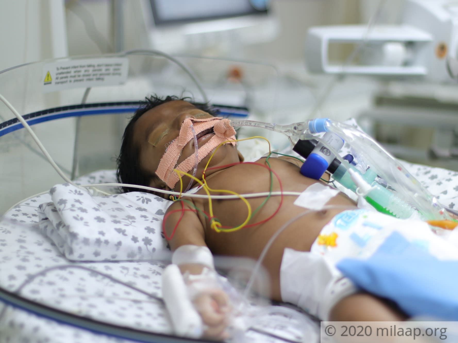 Img 7519 jpepup 1580542847.jpg rrugq9 1580719054