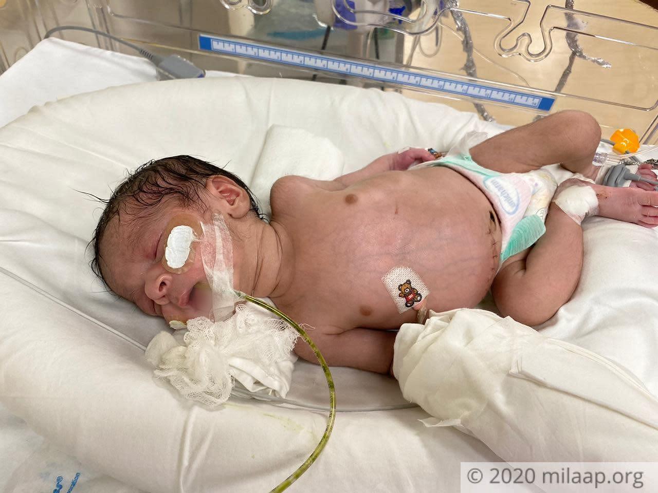 Whatsapp image 2020 07 21 at 3.50.47 pm 3 b9jpgc 1595326933.jpg olgnmj 1595409967