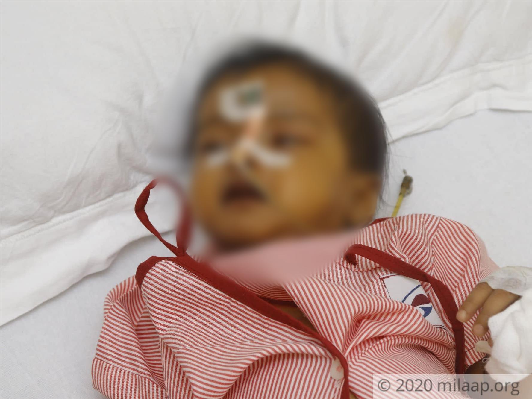  mg 7971 sufruq 1597996895.jpg g2kth0 1598179667