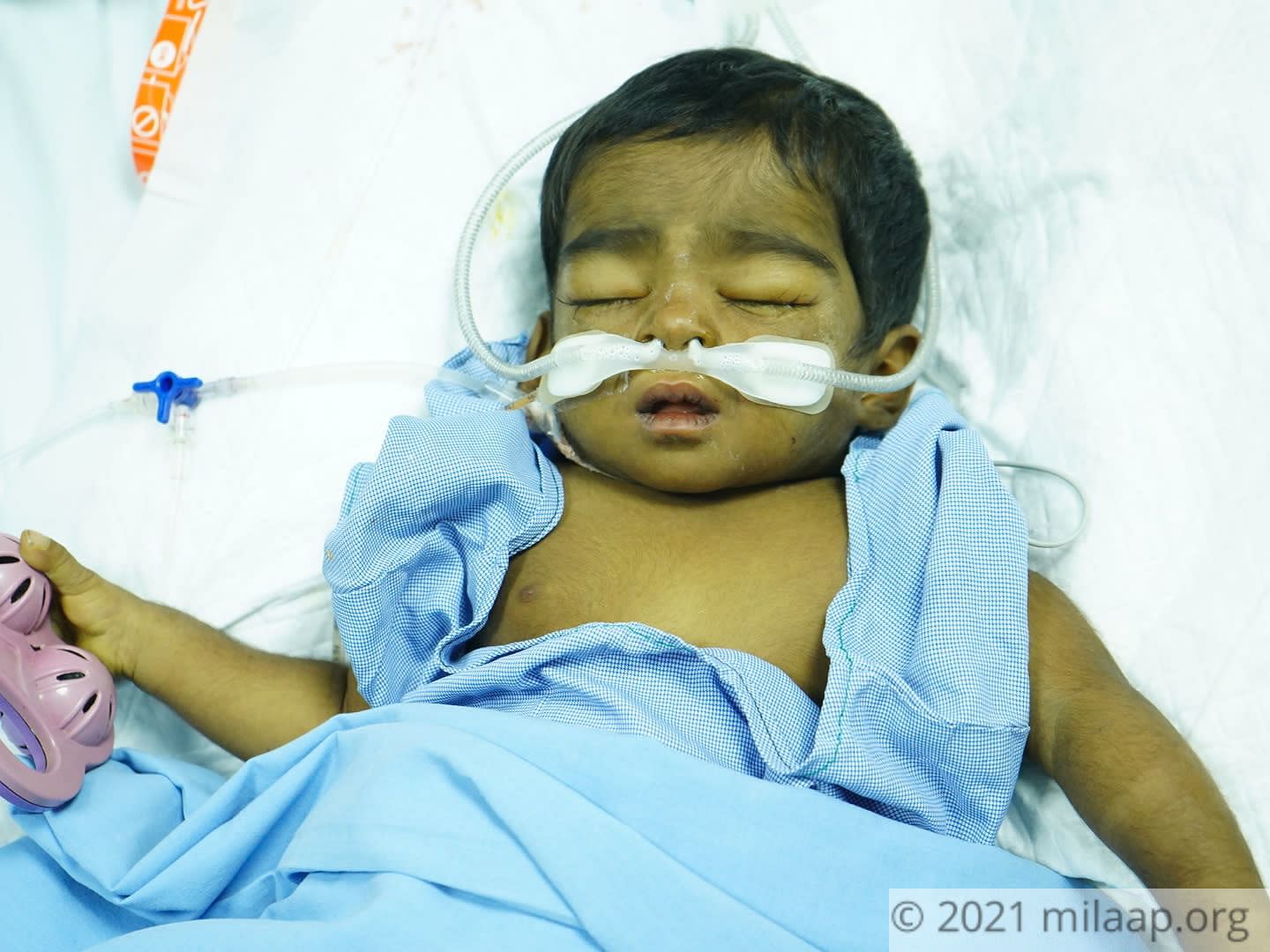 Dsc00388 g3rppd 1627884795.jpg vx5mzg 1628080285