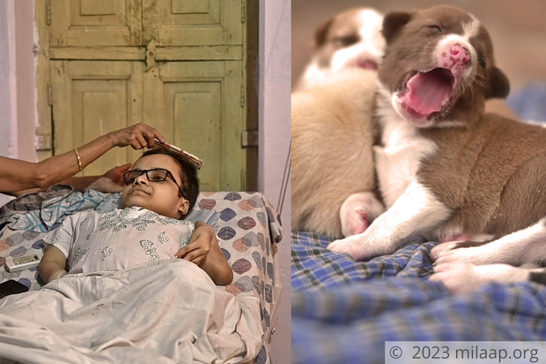 Story collage canva   aathira   2023 07 28t182008.148 x4ebgy 1690548749 1690624369 1690819404