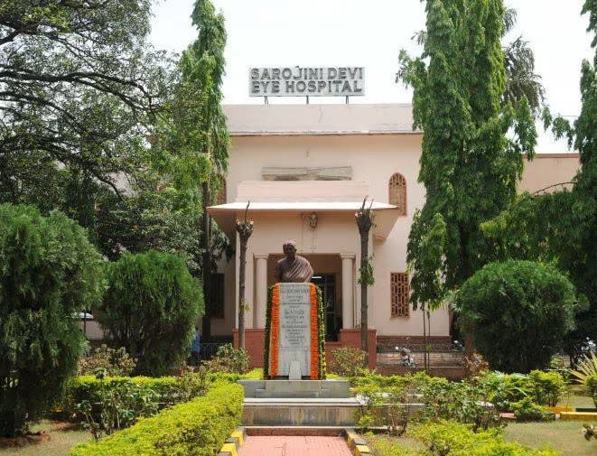 Section Image